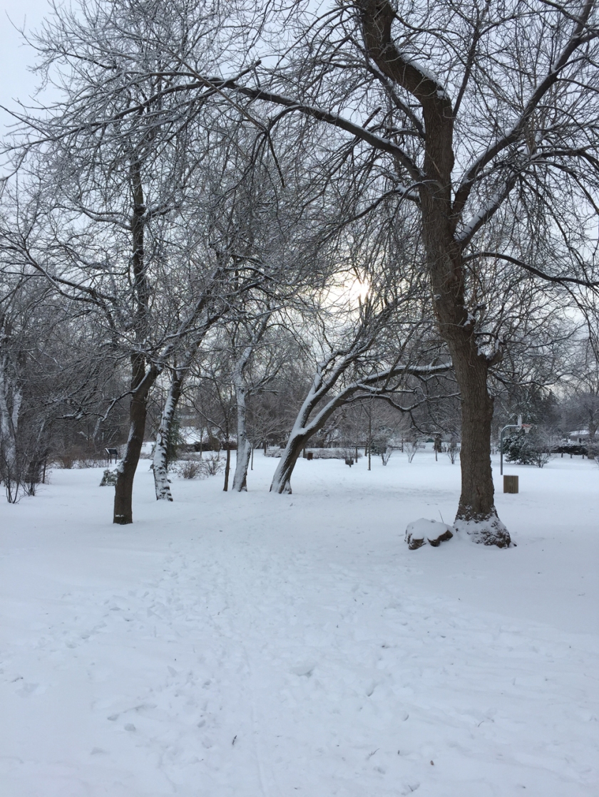 Rideau River Nature Trail in the winter